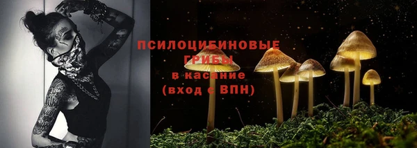 шишки Баксан