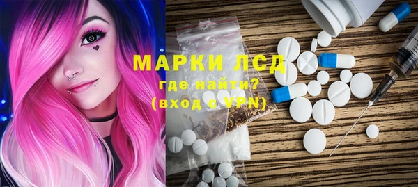 шишки Баксан
