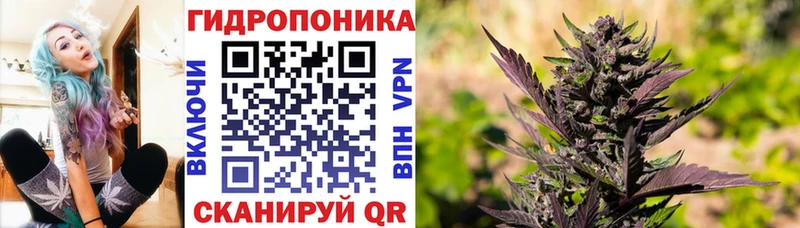 МАРИХУАНА планчик  Кстово 